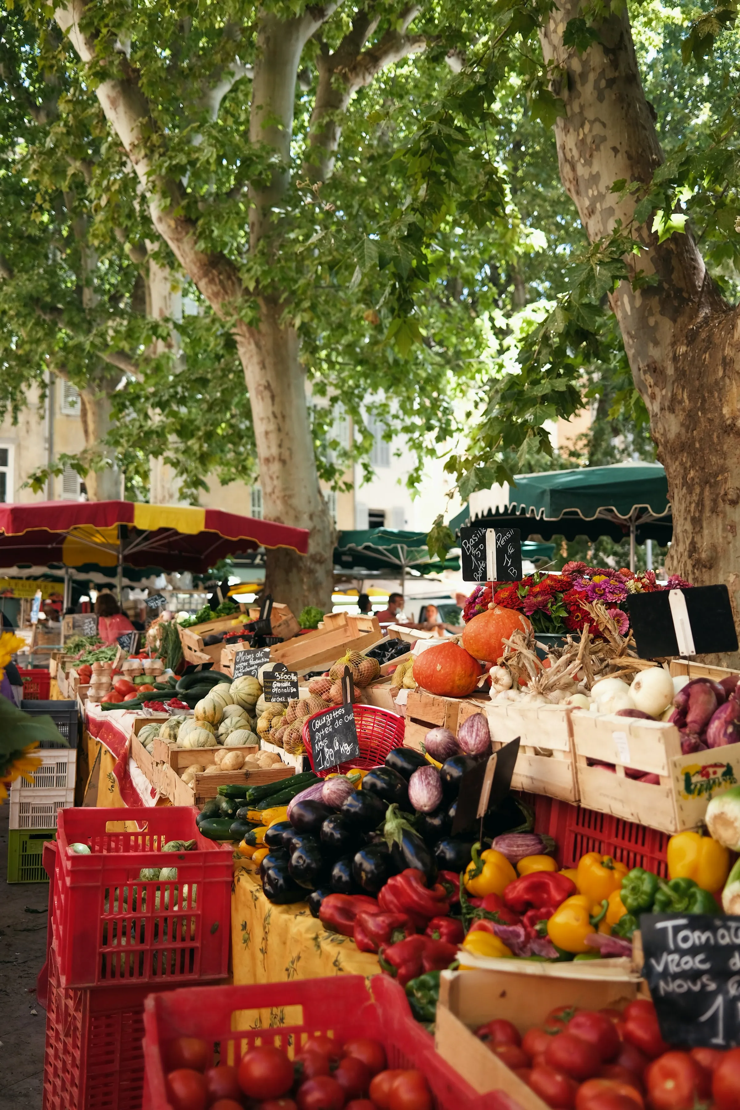 Étal de marché en Provence — produits locaux et raison sociale visible